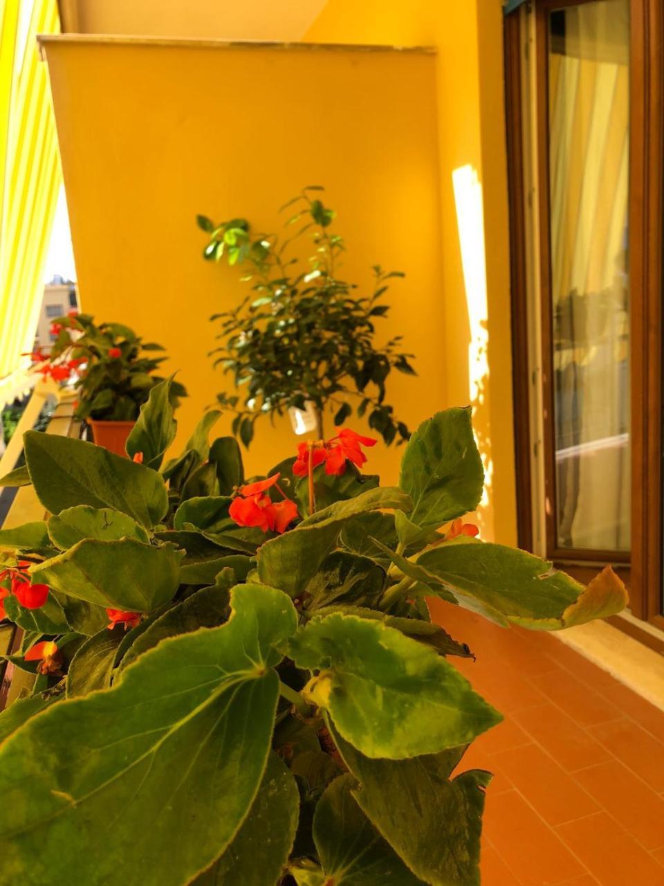 B&B La Rada Sorrento Eksteriør bilde